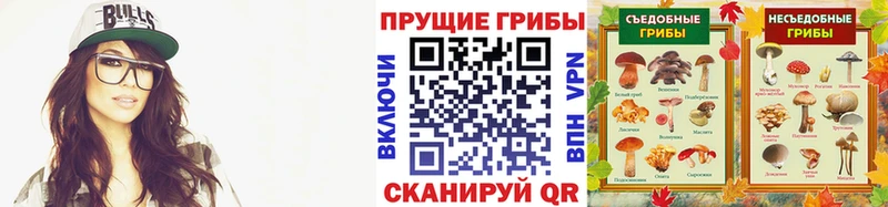 Псилоцибиновые грибы мухоморы  shop клад  Кудымкар 